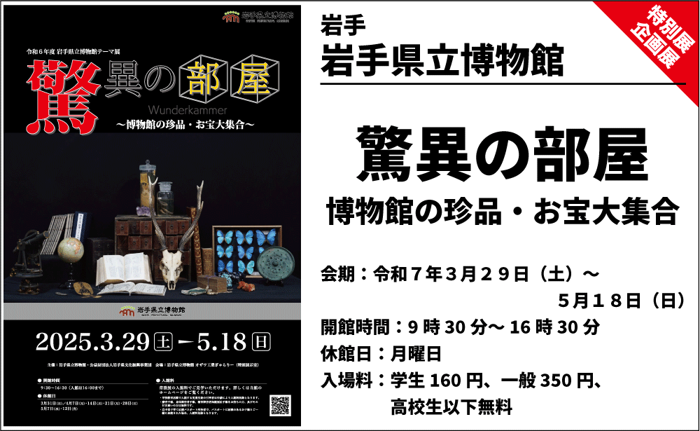 【企画展】驚異の部屋~博物館の珍品・お宝大集合~